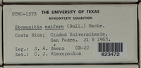 Image Associated With the Occurence